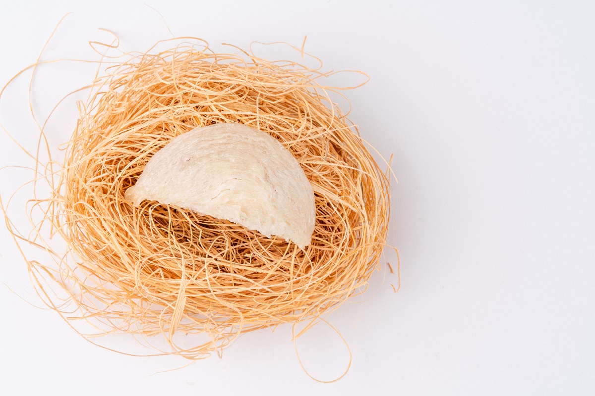Incorporating Bird’s Nest Into Everyday Meals