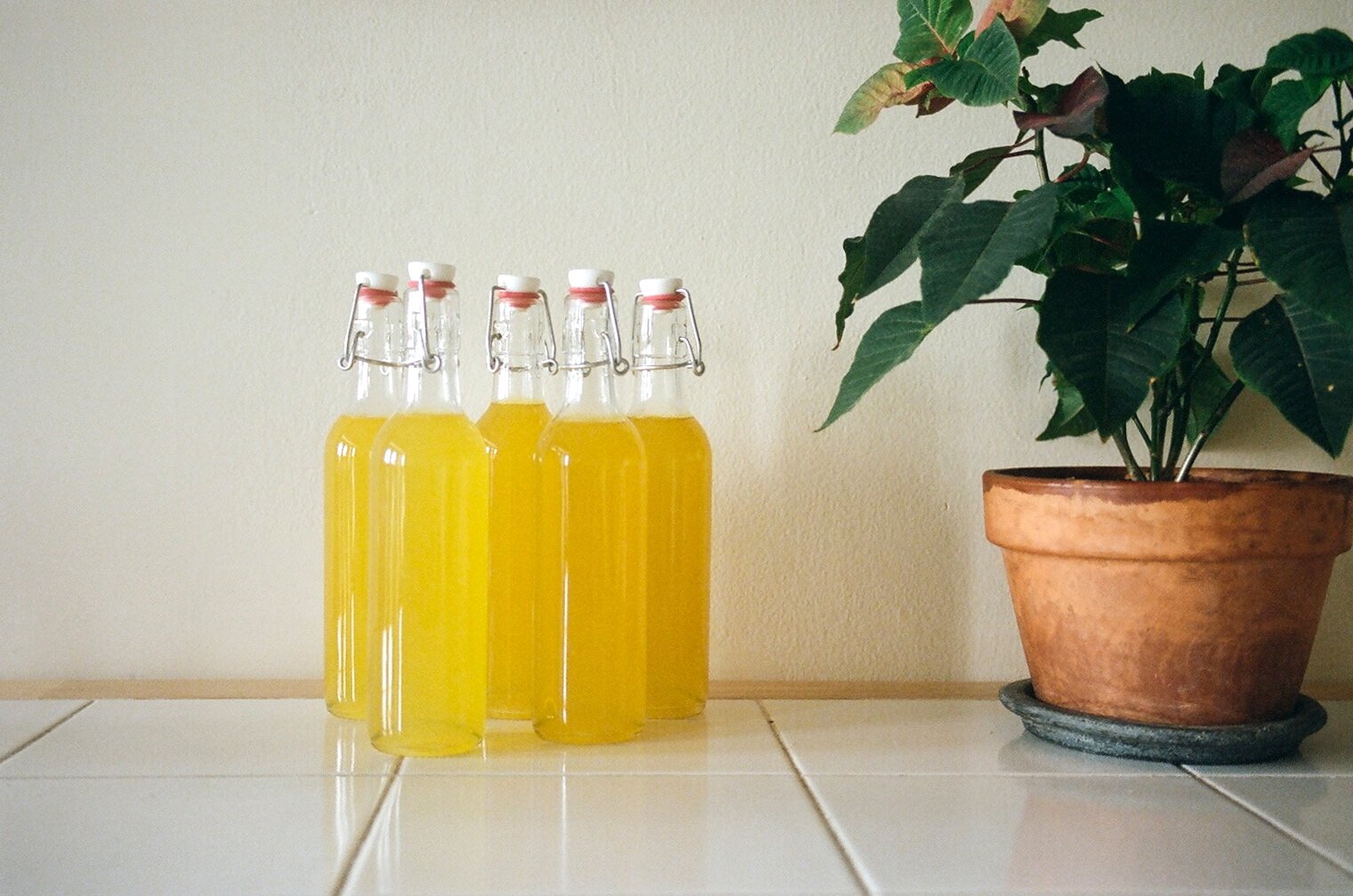 limoncello