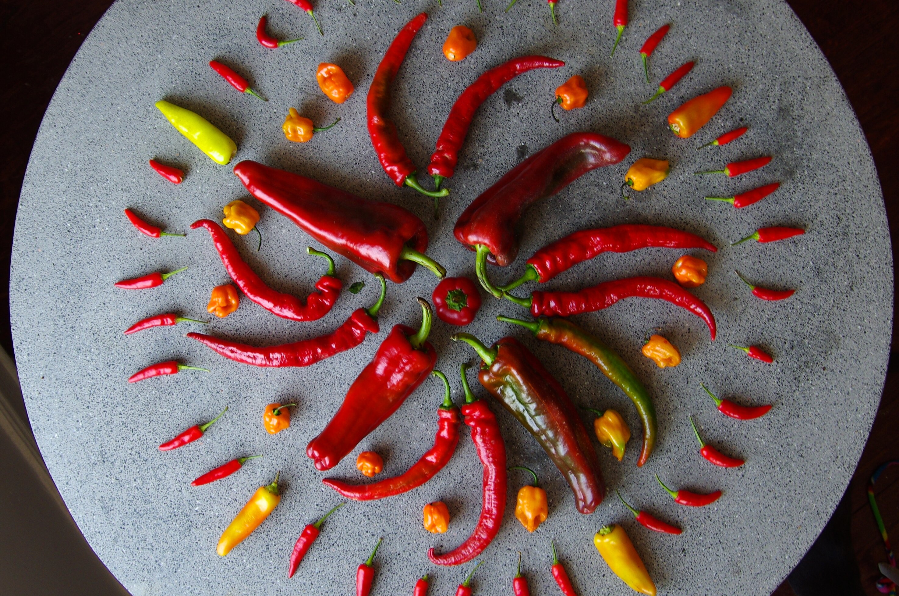 pepper mandala // witchin' in the kitchen